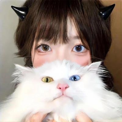 正牌继承人